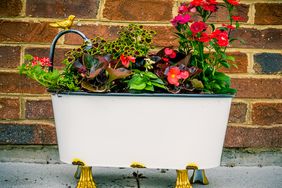 vintage bathtub filled with flowers