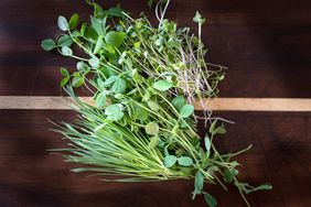 misc microgreens