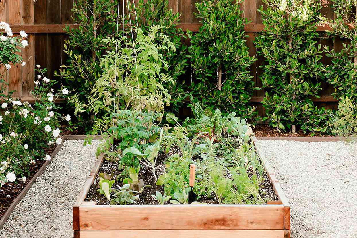california house vegetable garden bed