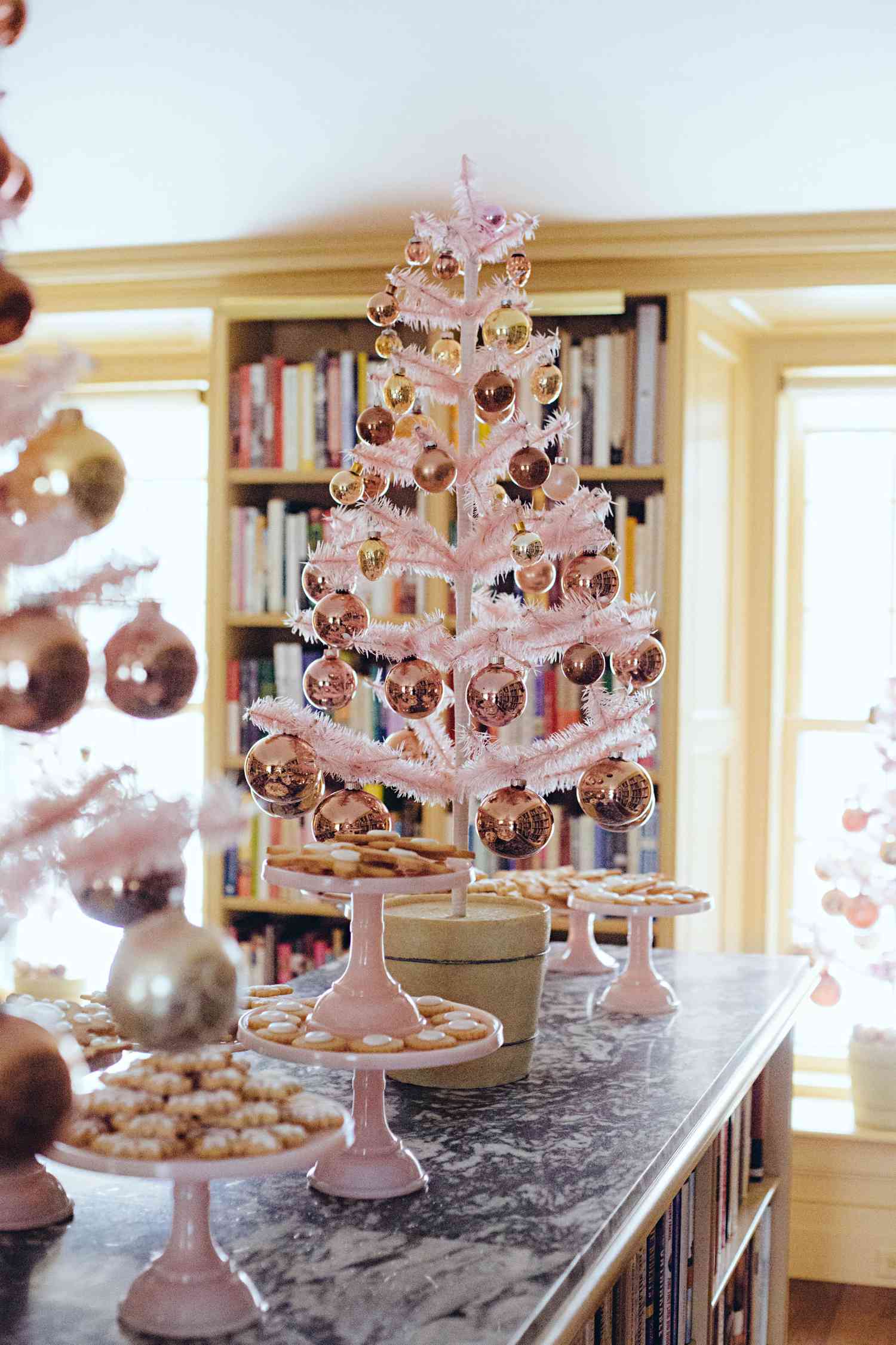 trees party cookies counter