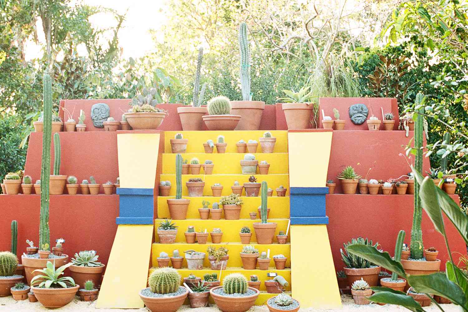 Colorful wall of succulents outside