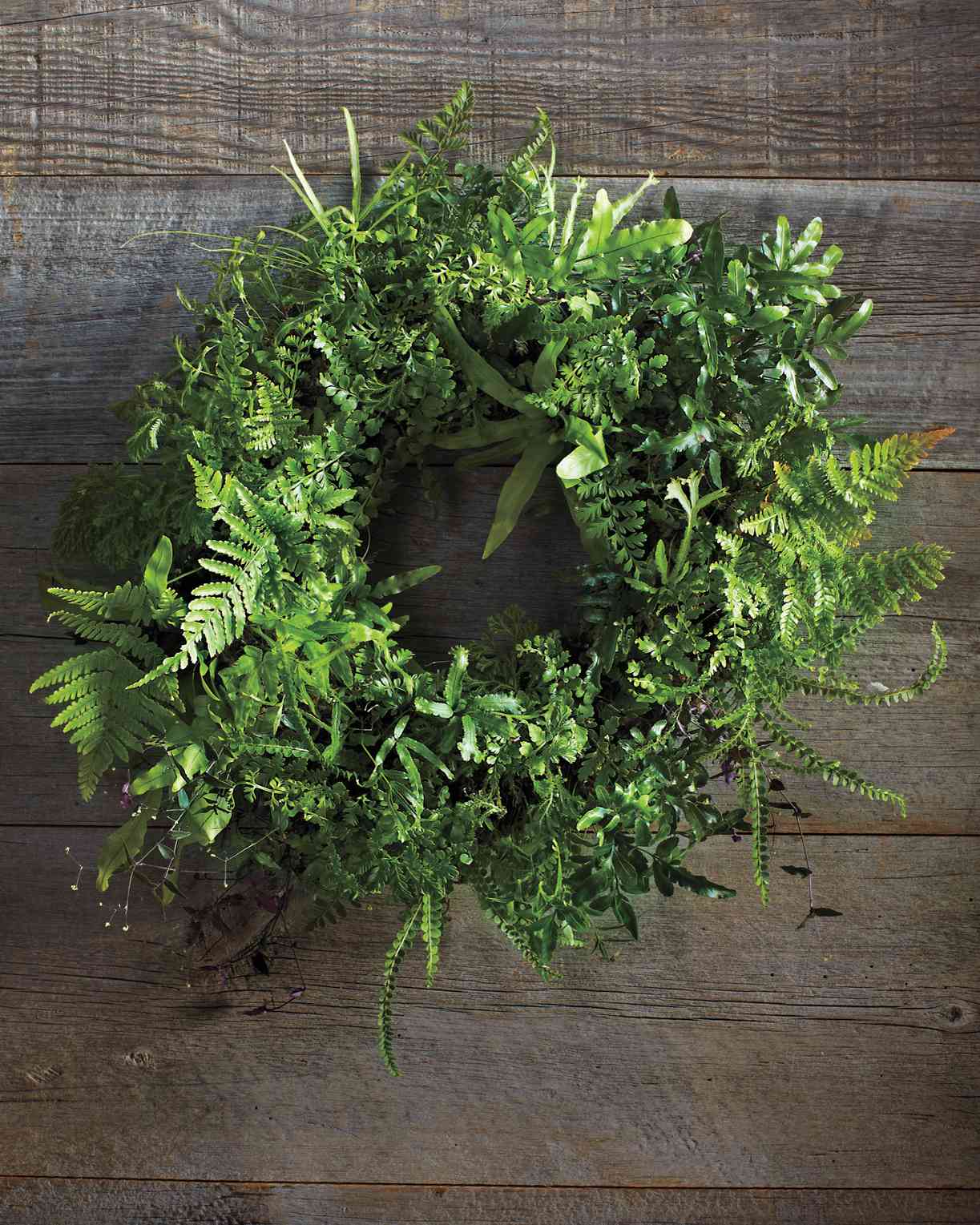 Fern Wreath on Door
