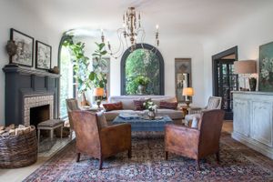 living room with mixture of colors and fiddle leaf fig tree