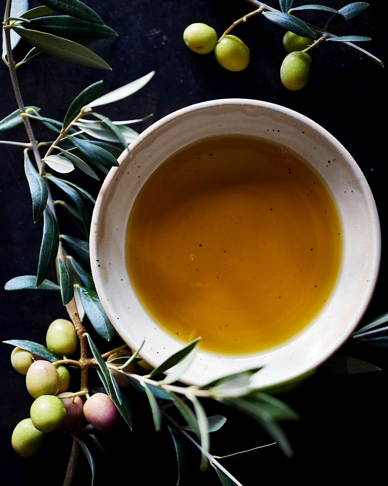 olive oil and olive branches