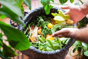 composting food