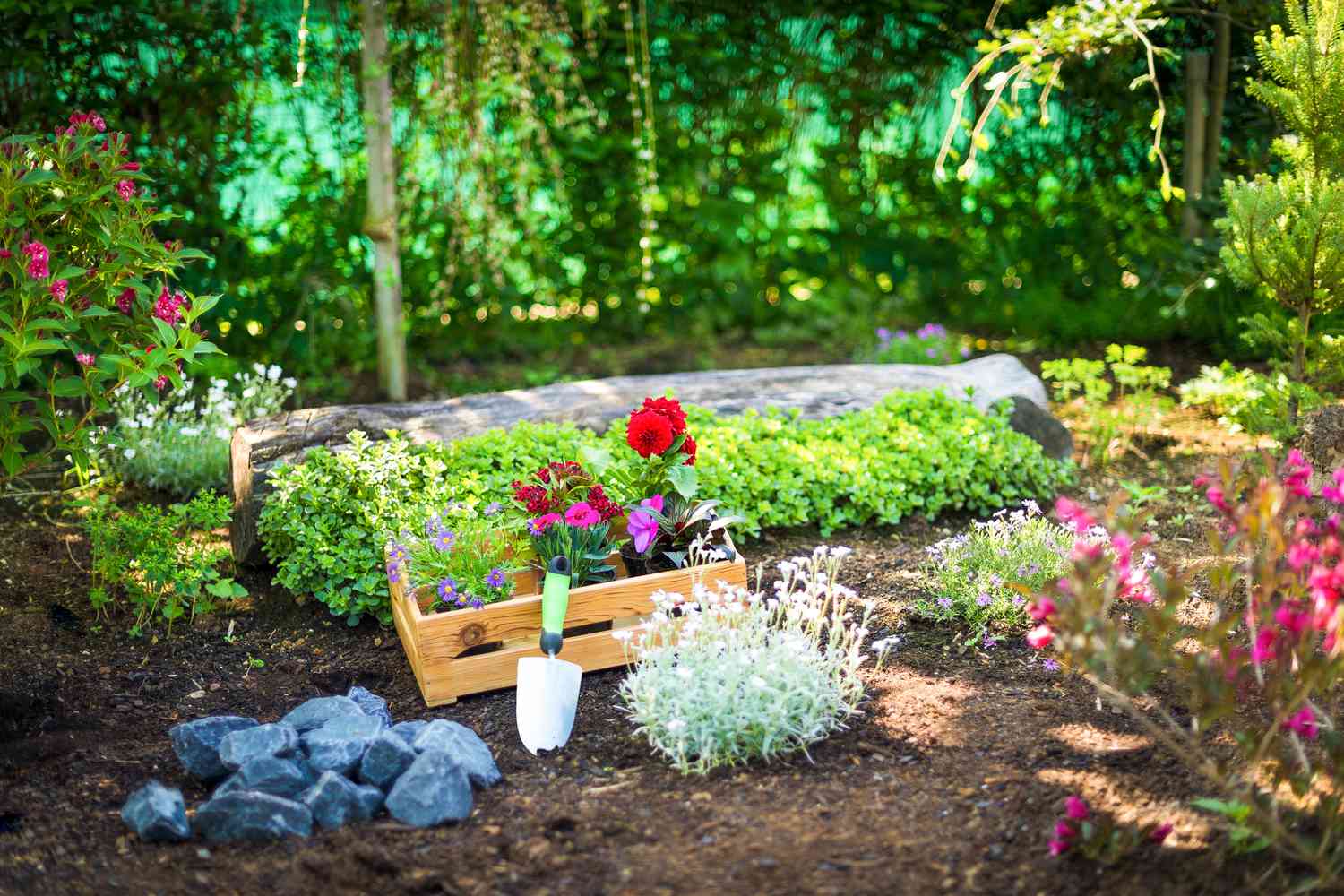 container plants ready to be planted in garden