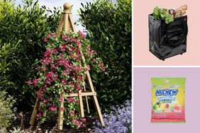 A trellis with flowering plants a reusable shopping bag filled with groceries and a bag of HiChew gummies