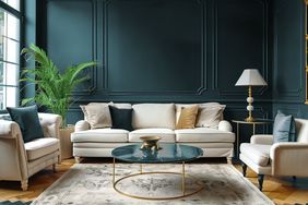 Living room painted blue