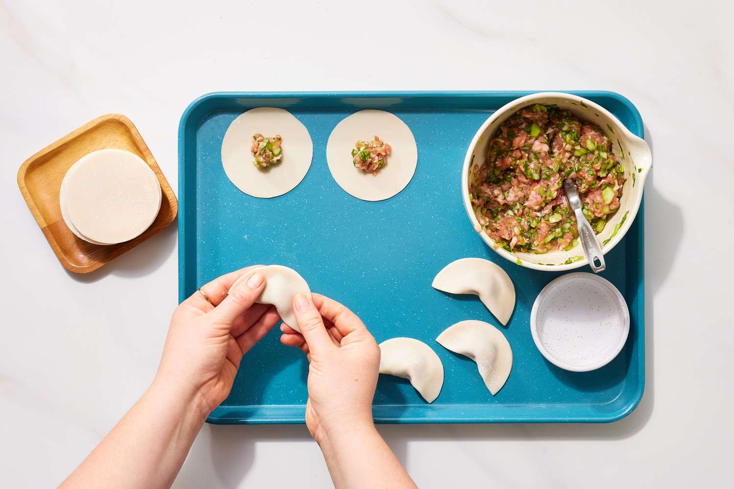 Pot Sticker Dumplings