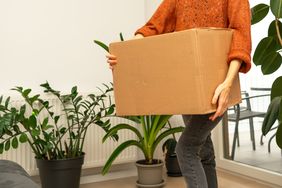 Person holding a cardboard box indoor setting with plants in the background
