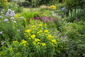 A lush garden with a variety of flowers and plants featuring yellow pink and purple blooms surrounded by greenery