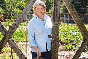 decorvow Holding Basket in Garden