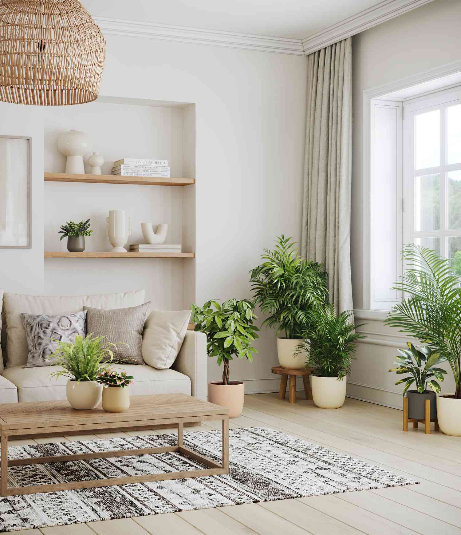 potted plants in cream containers