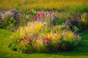 Ornamental garden, with grasses and various perennial flowers in mixed borders and flower beds. 