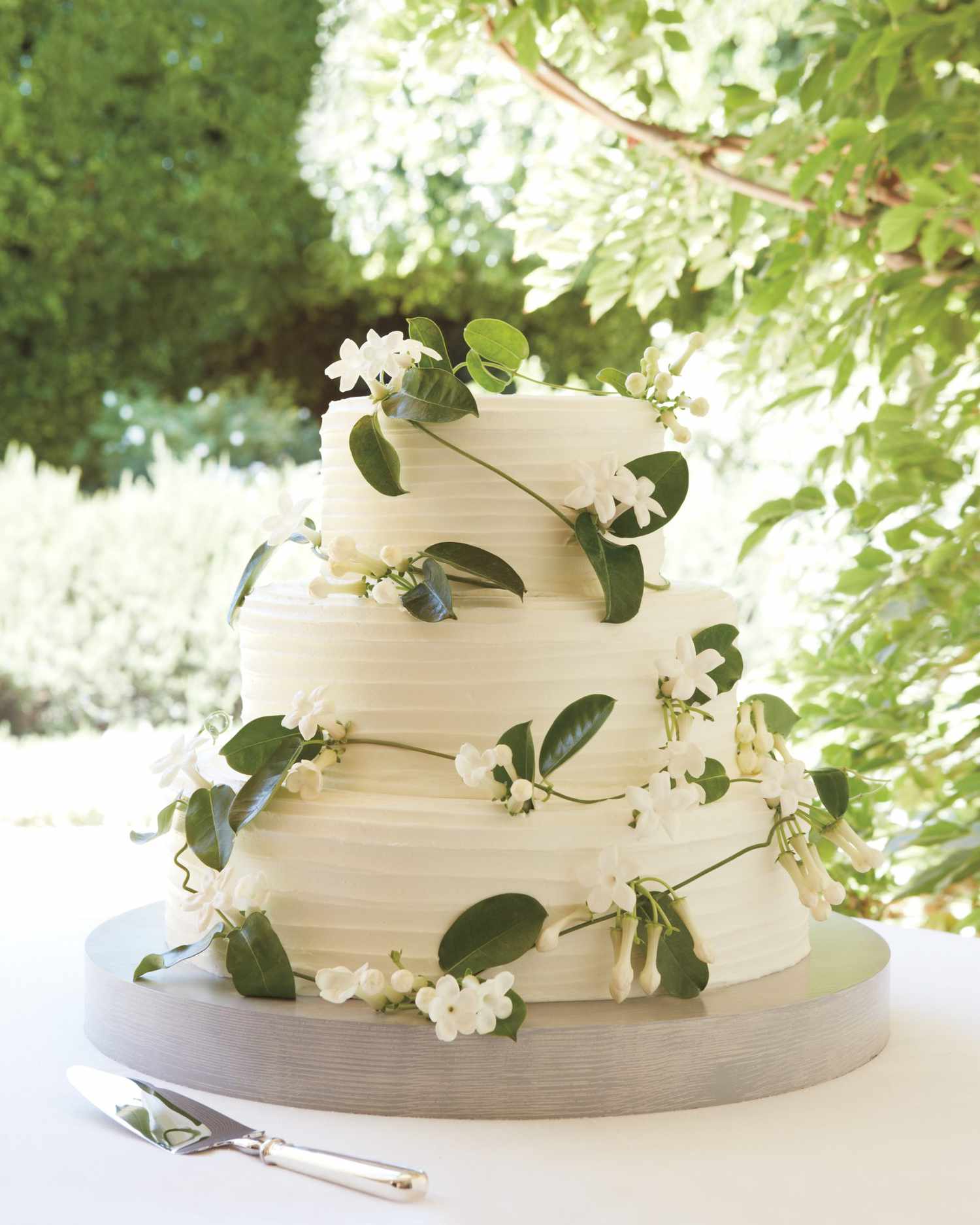 wedding-cake-mwd109296.jpg
