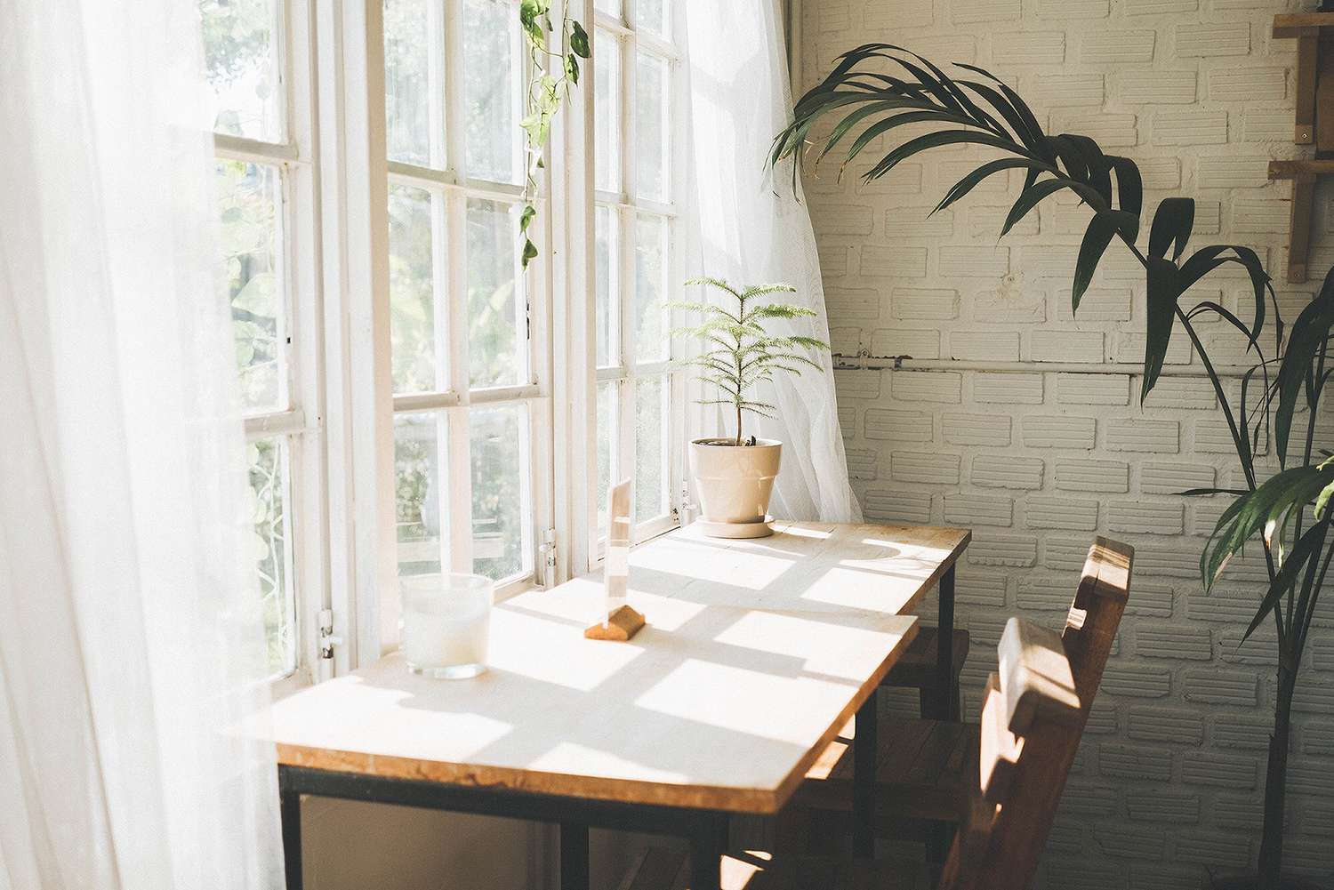 Desk in front of window with plants