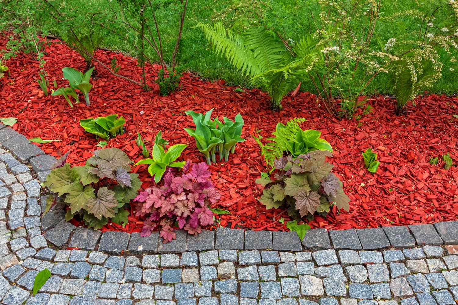 bright red mulch in garden bed