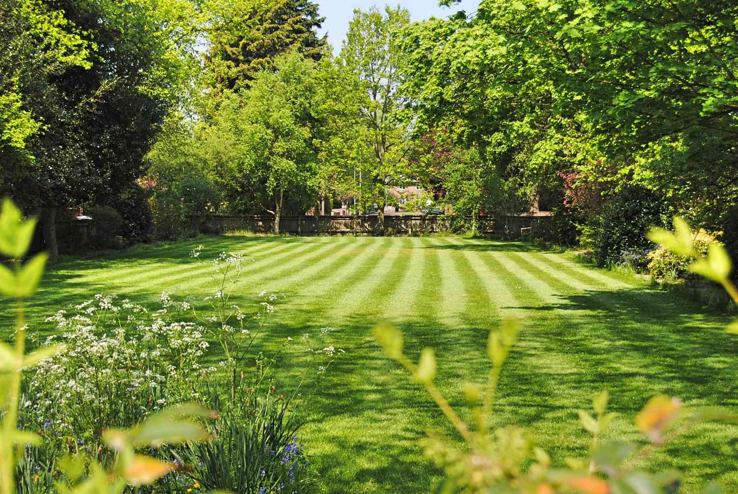 Newly mown lawn and gardens.