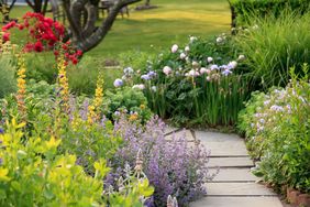 home garden with a path and flowers