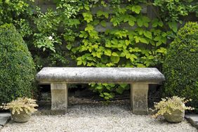 Stone bench in a garden setting with greenery and two potted plants