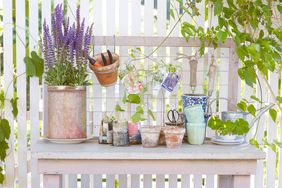 Spring gardening items