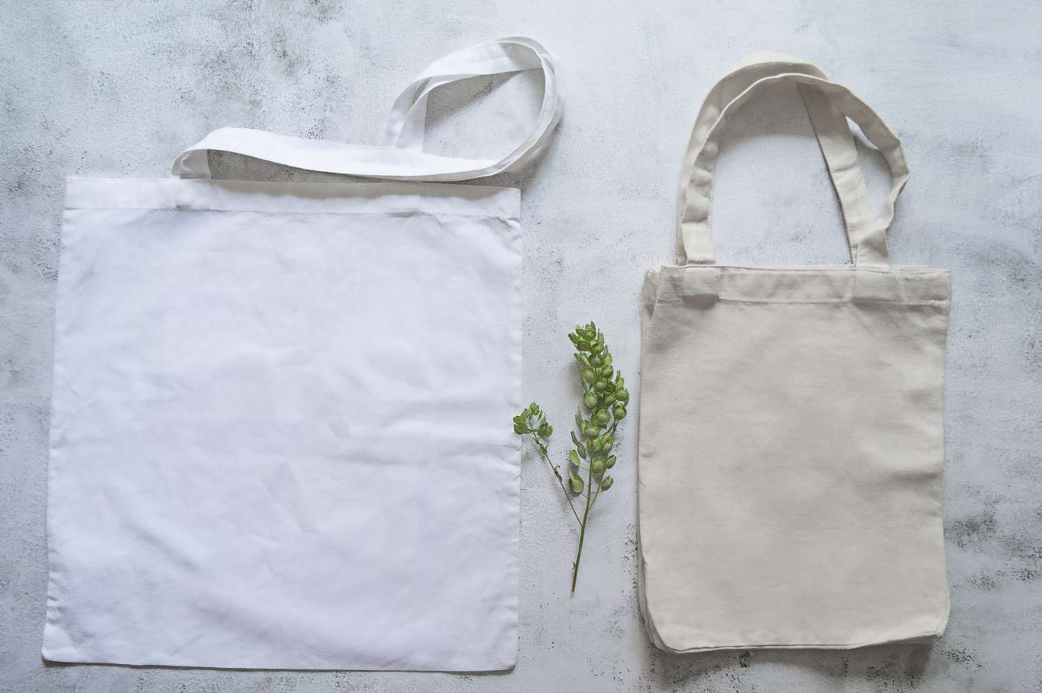 Two cloth tote bags placed side by side with a small plant in between
