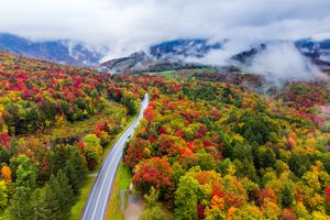 A road winding through a forested landscape with hills in the background and fog over the treetops