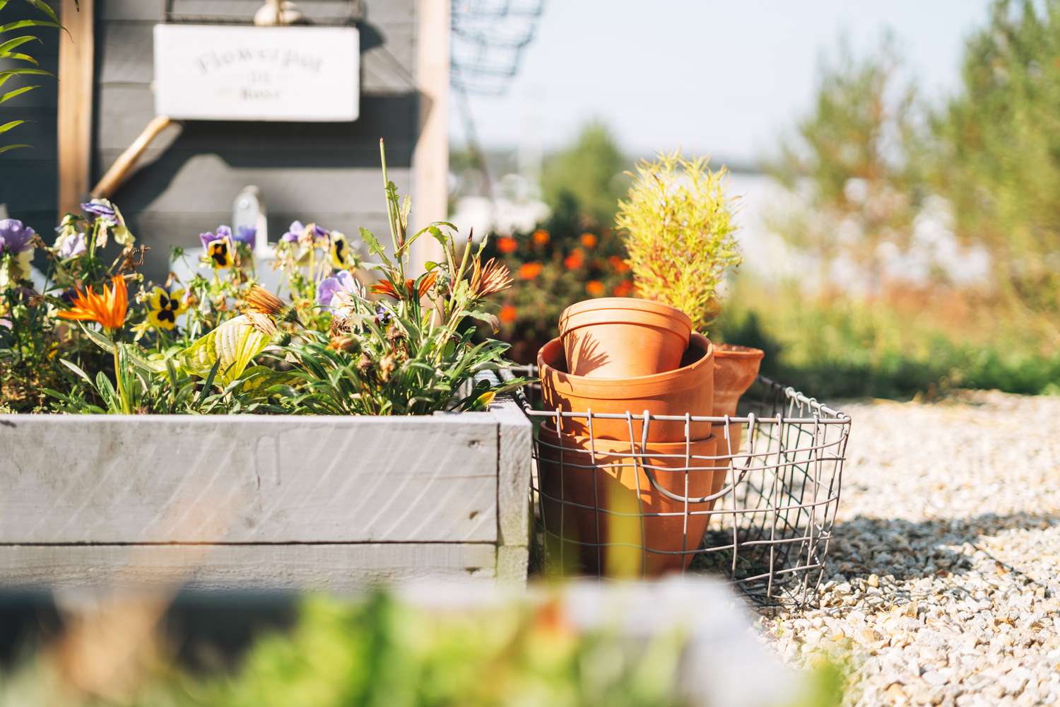 Outdoor flowerbed with blooming flowers and stacked terracotta pots nearby