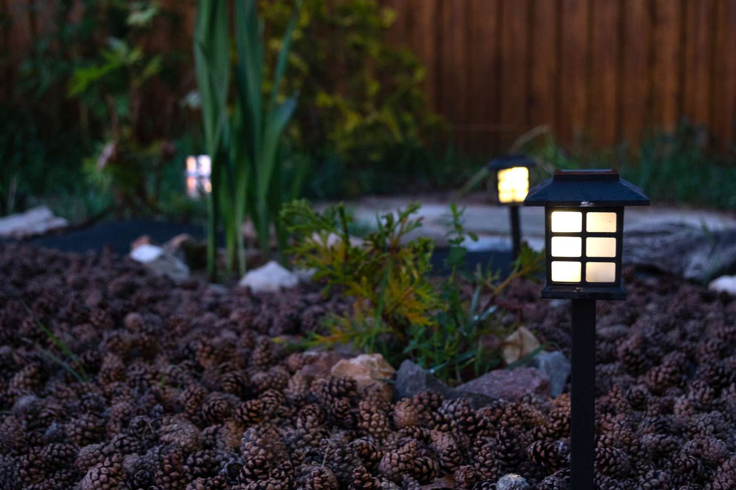 Garden pathway lights illuminating a landscaped area with pinecones and plants in a backyard setting
