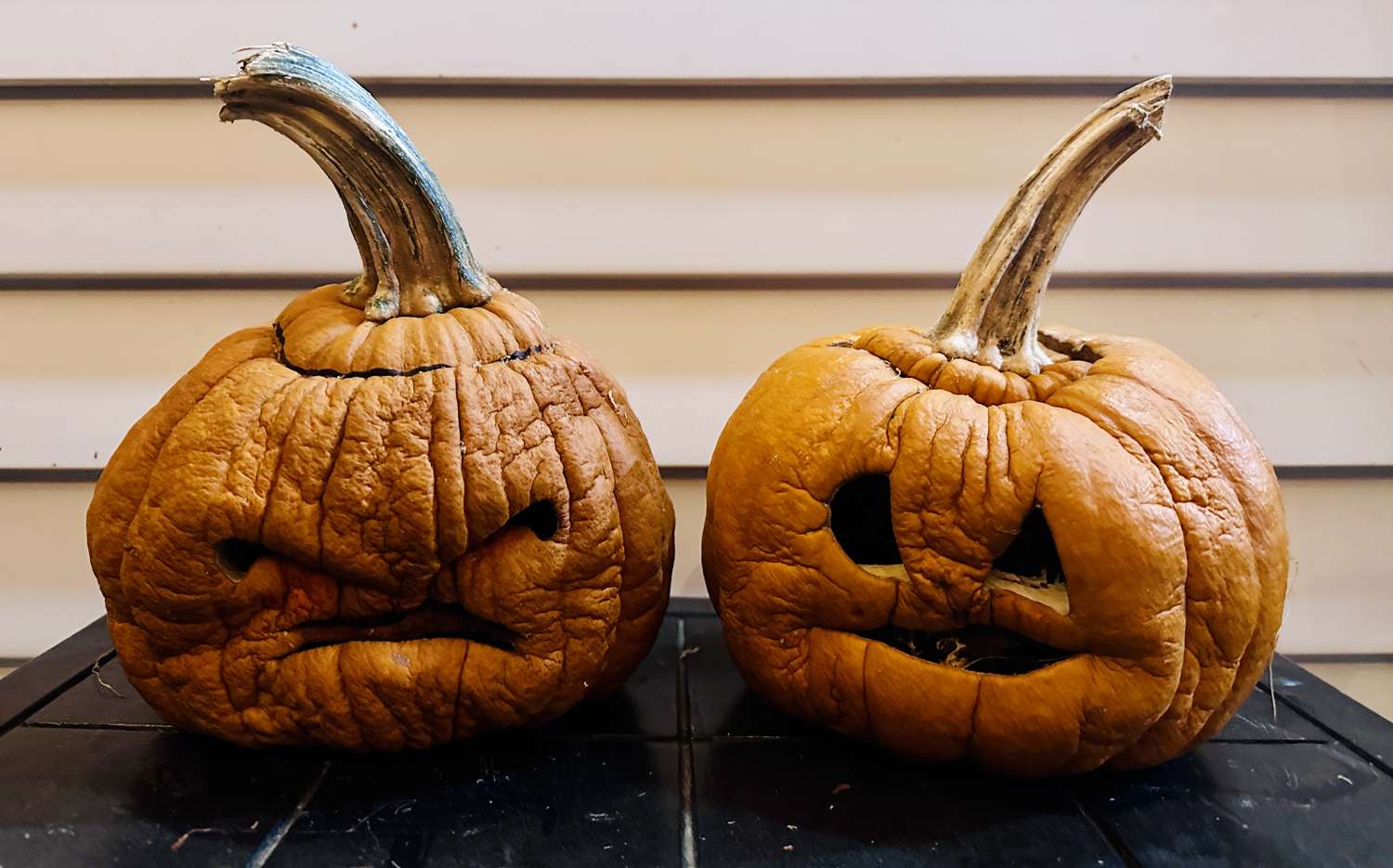 Two carved pumpkins with expressive faces placed side by side showing signs of aging and decay