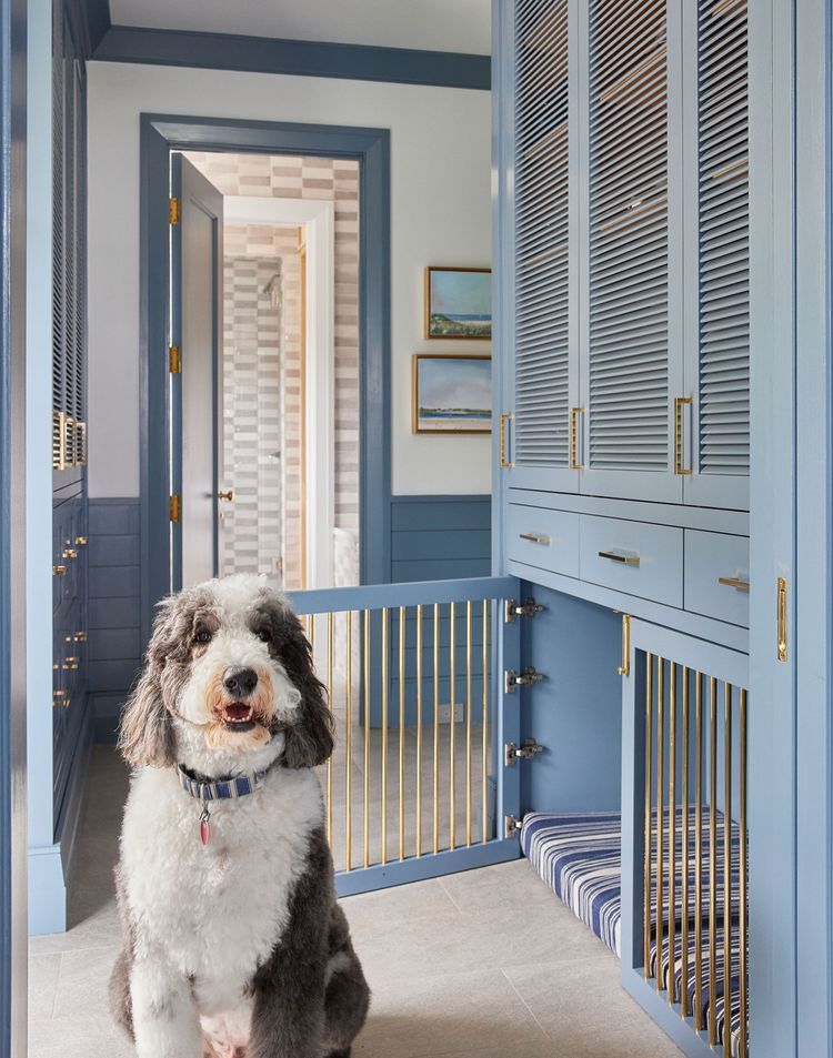 interior designed doggy kennel