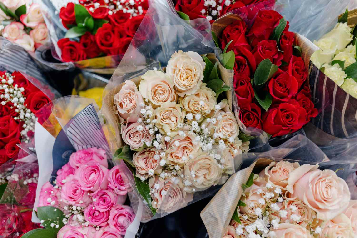 Arrangements of roses in various bouquets wrapped in plastic and displayed together