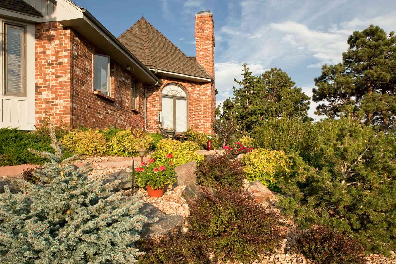 Xeriscape with trees