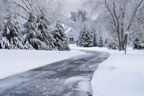 Snowcovered landscape with a clear driveway leading to a house surrounded by trees