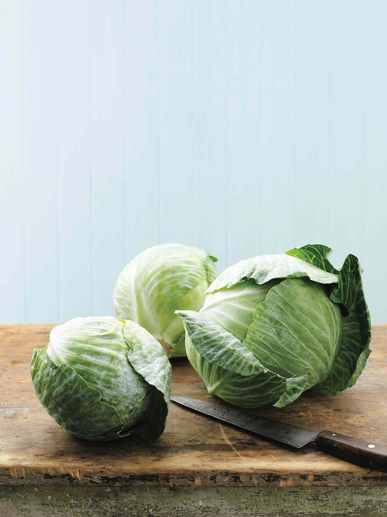 cabbage