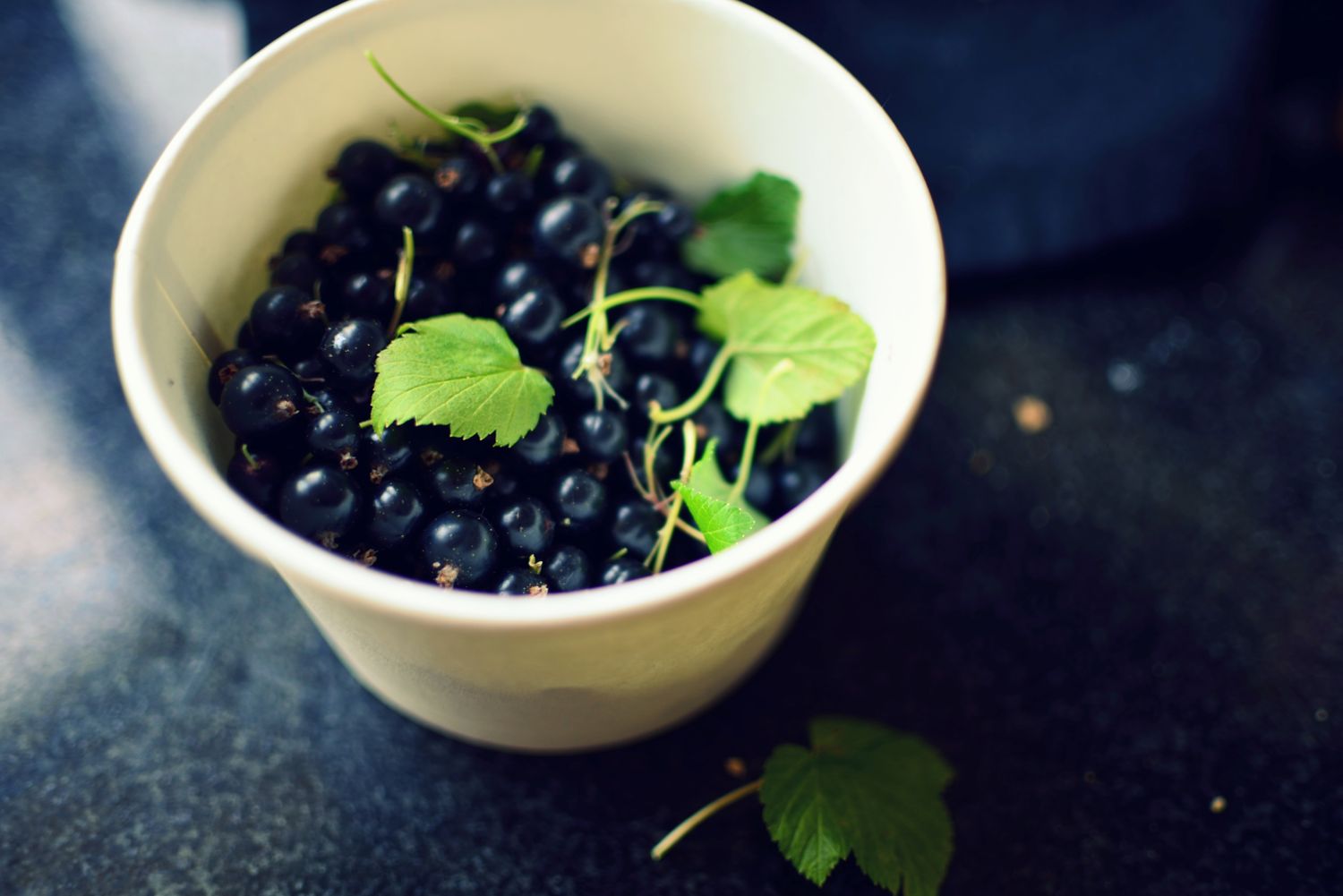 A bowl filled with black currants and a few green leaves on top