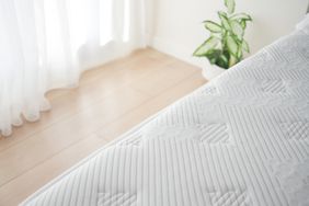 A corner of a bed with a patterned mattress next to a small houseplant by a window