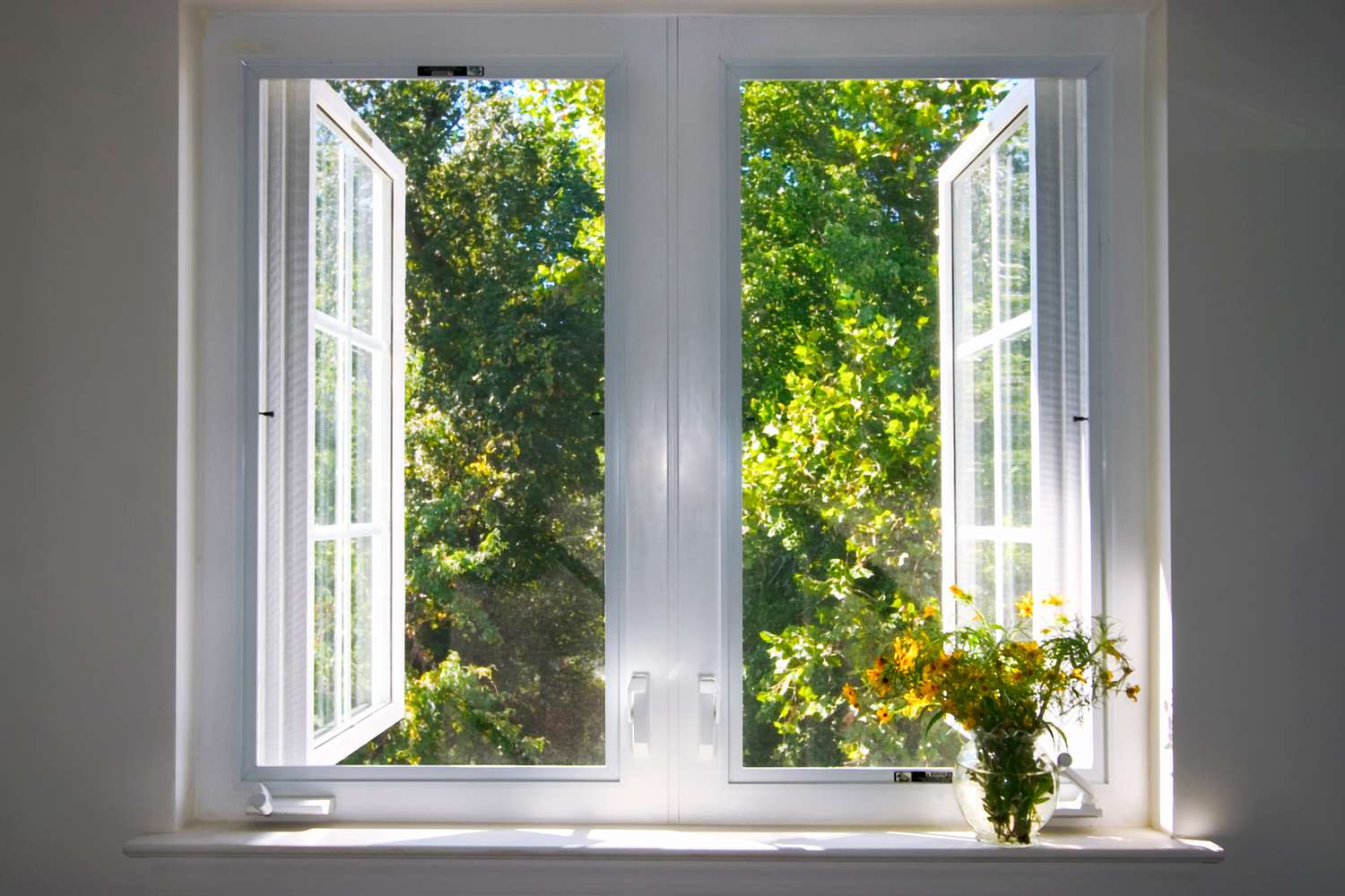 Windows open, clean window screens