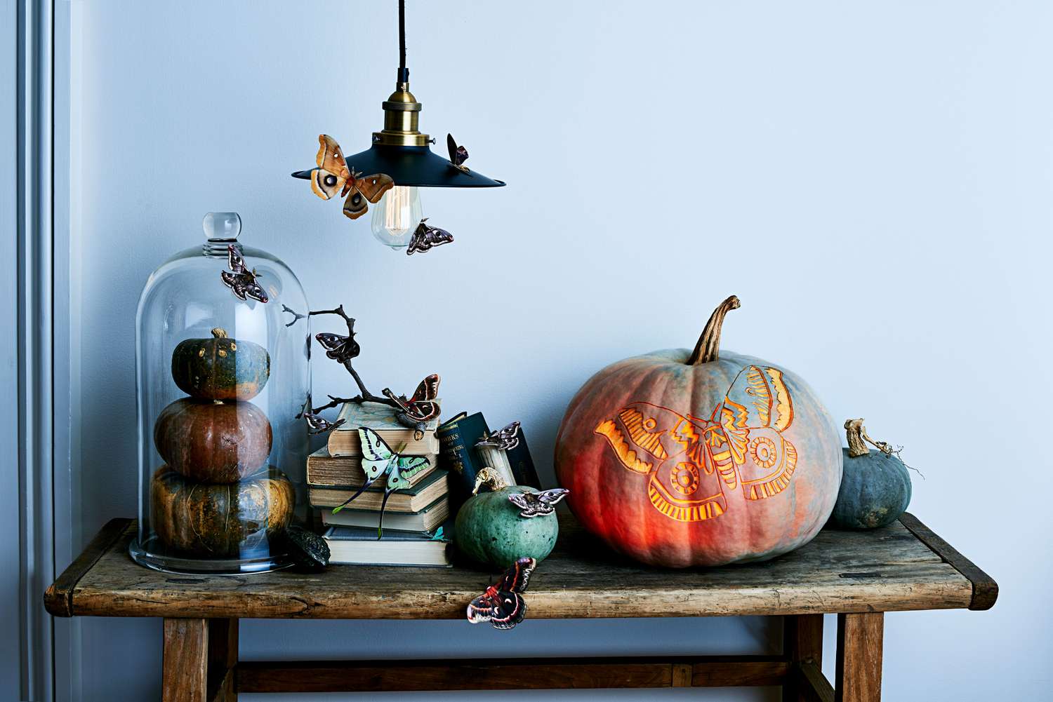 glowing moth pumpkin