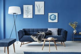Blue Living Room 