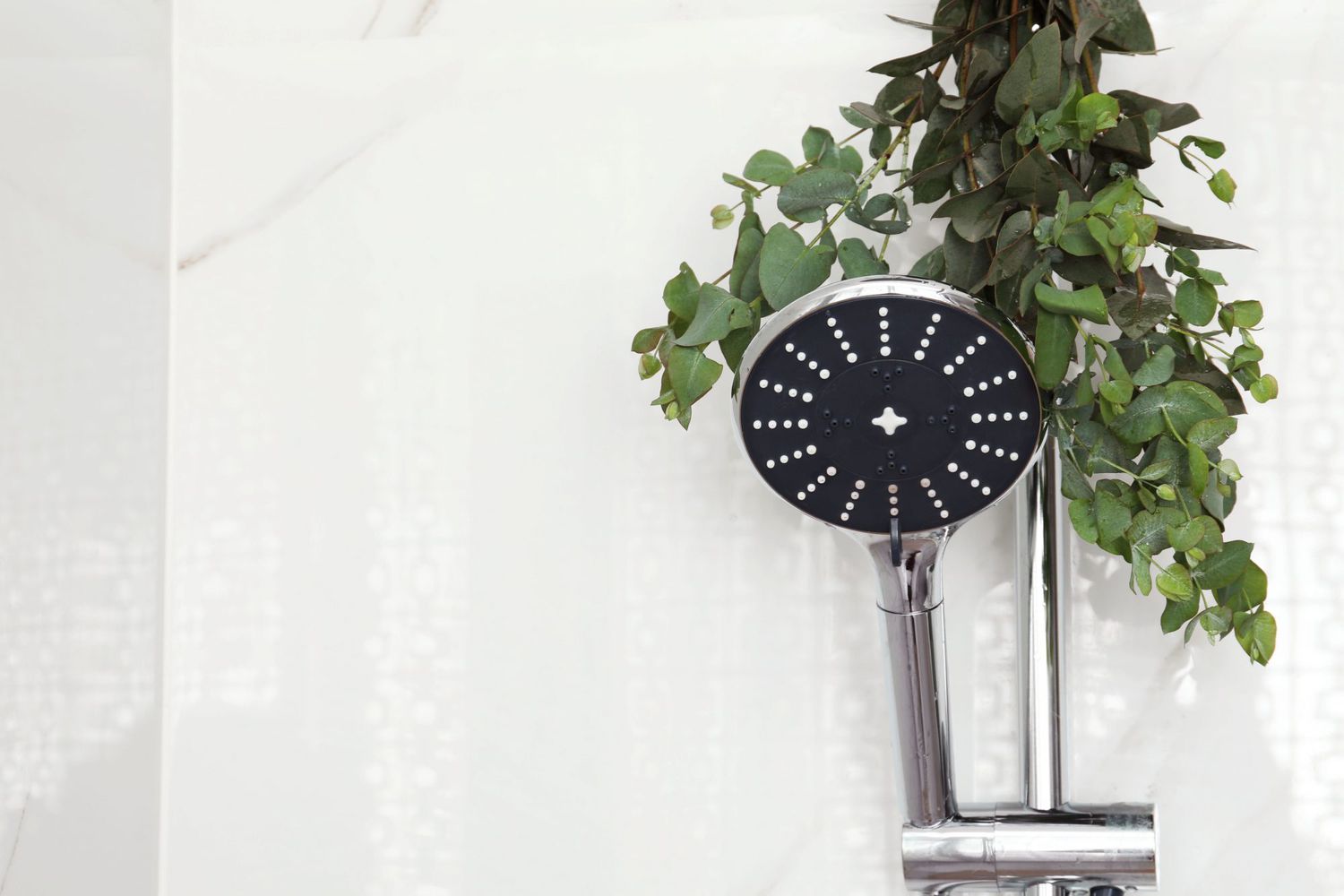 Eucalyptus branches hanging in shower