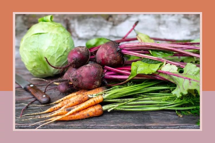 Assorted fresh vegetables including a cabbage beets and carrots