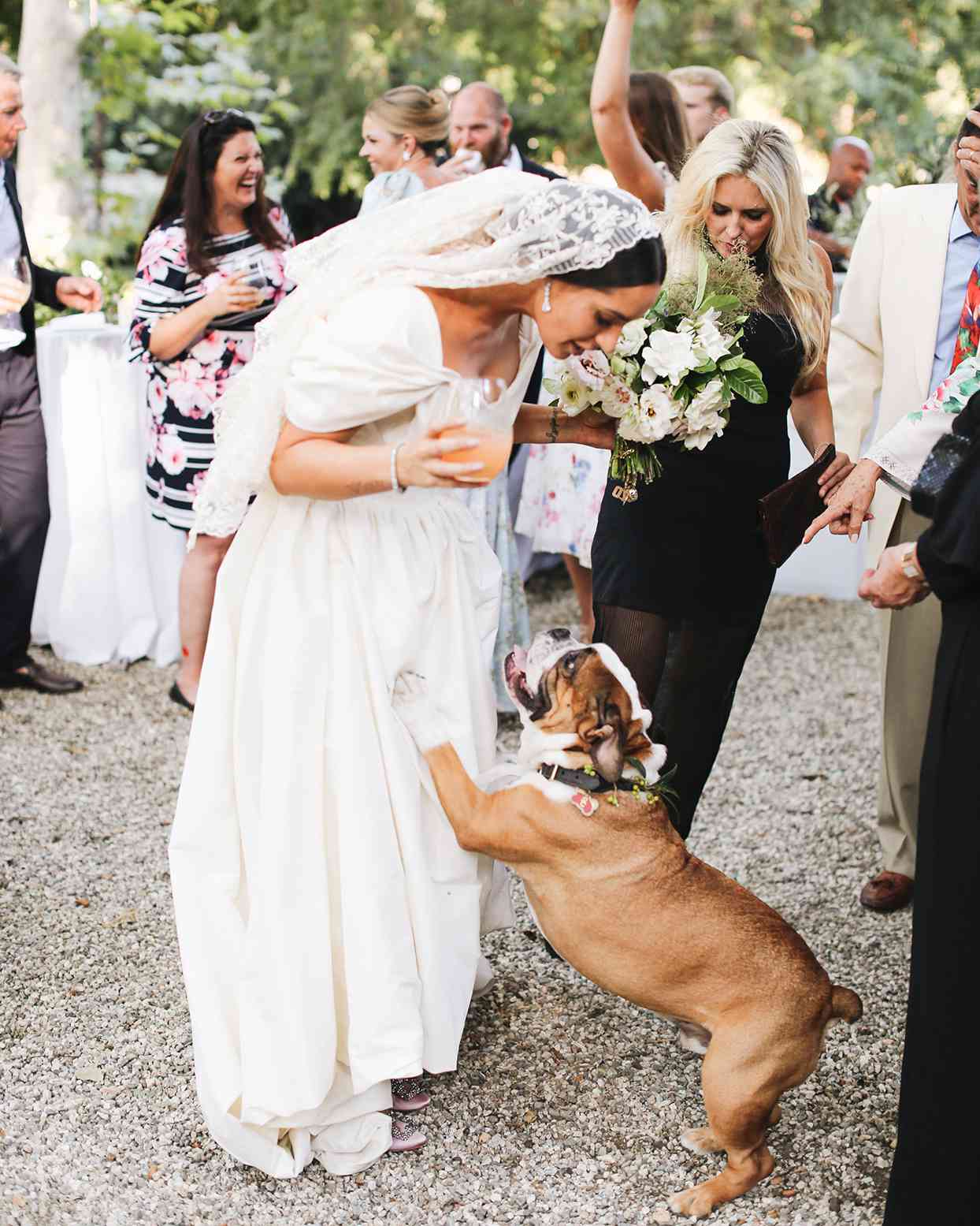 pia davide wedding bride with dog