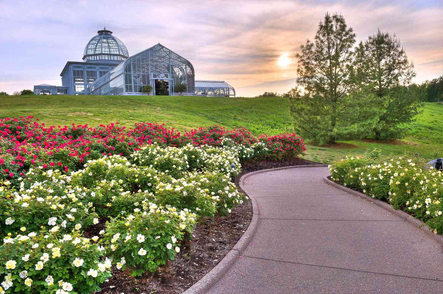 botanical garden conservatory