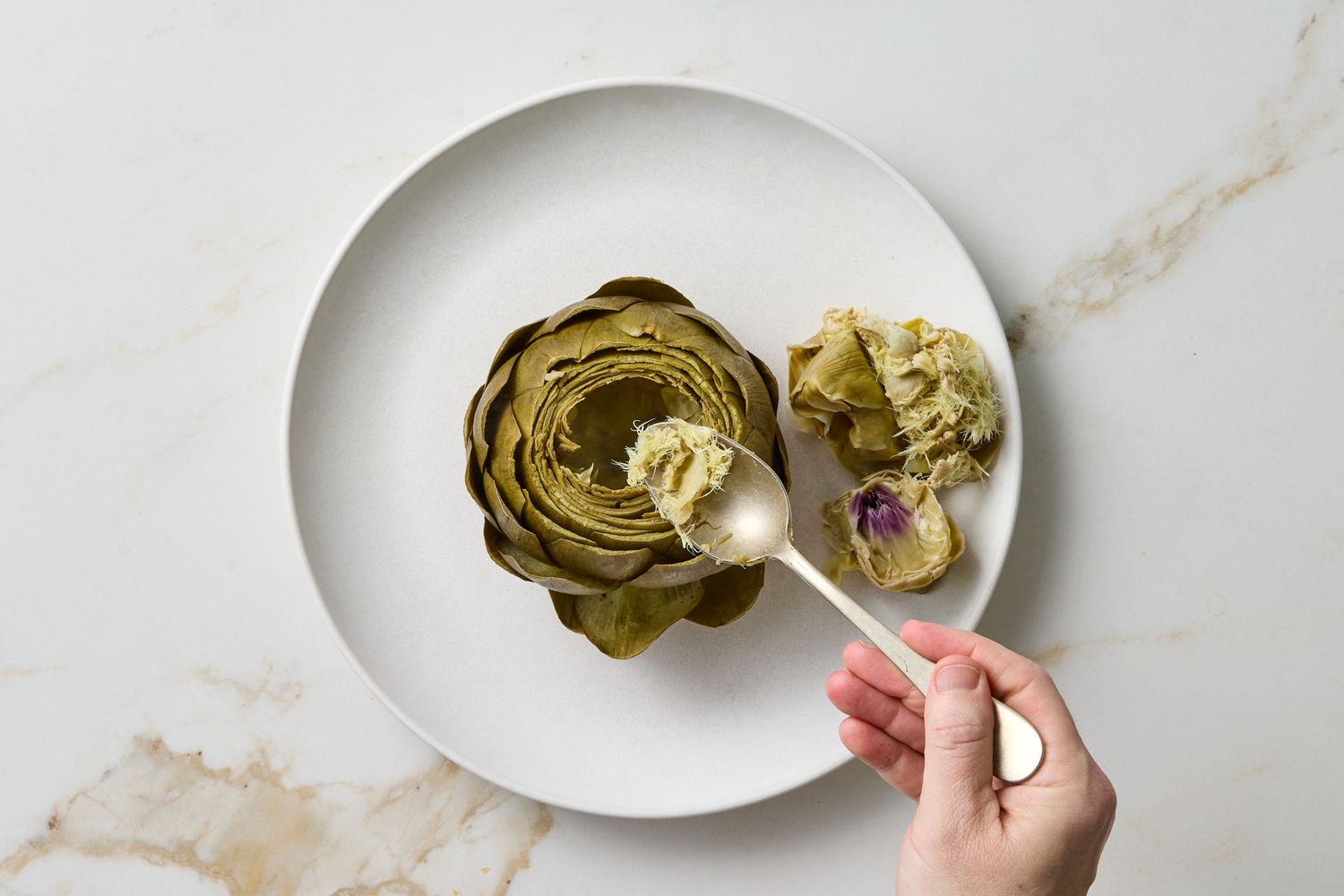 Hand holding a spoon with cooked artichoke served on a white plate