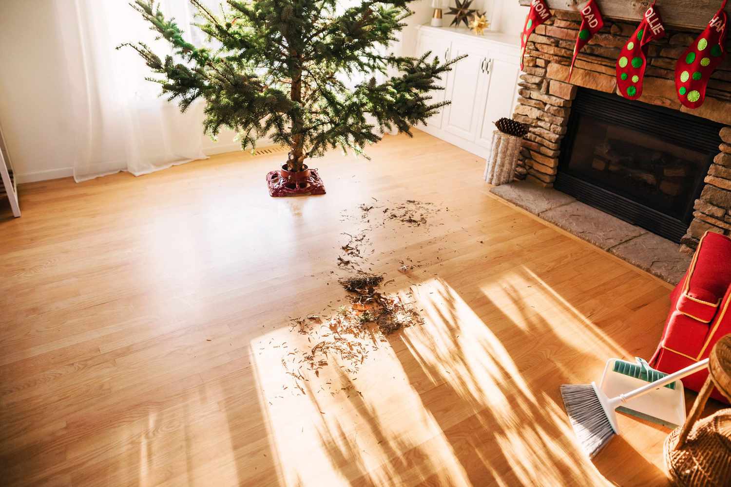 Pine needles on living room floor after setting up a Christmas tree