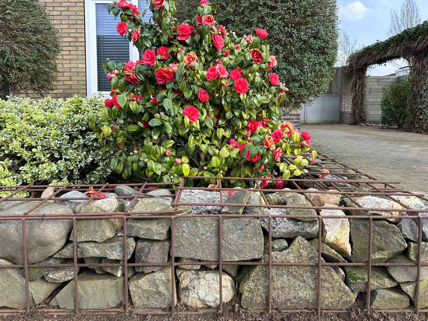 stone wall in garden 