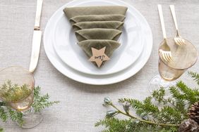 christmas tree napkin fold table setting with name tags