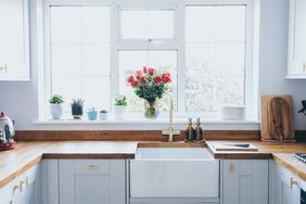 A kitchen sink under a window with potted plants and a bouquet in a vase on the countertop