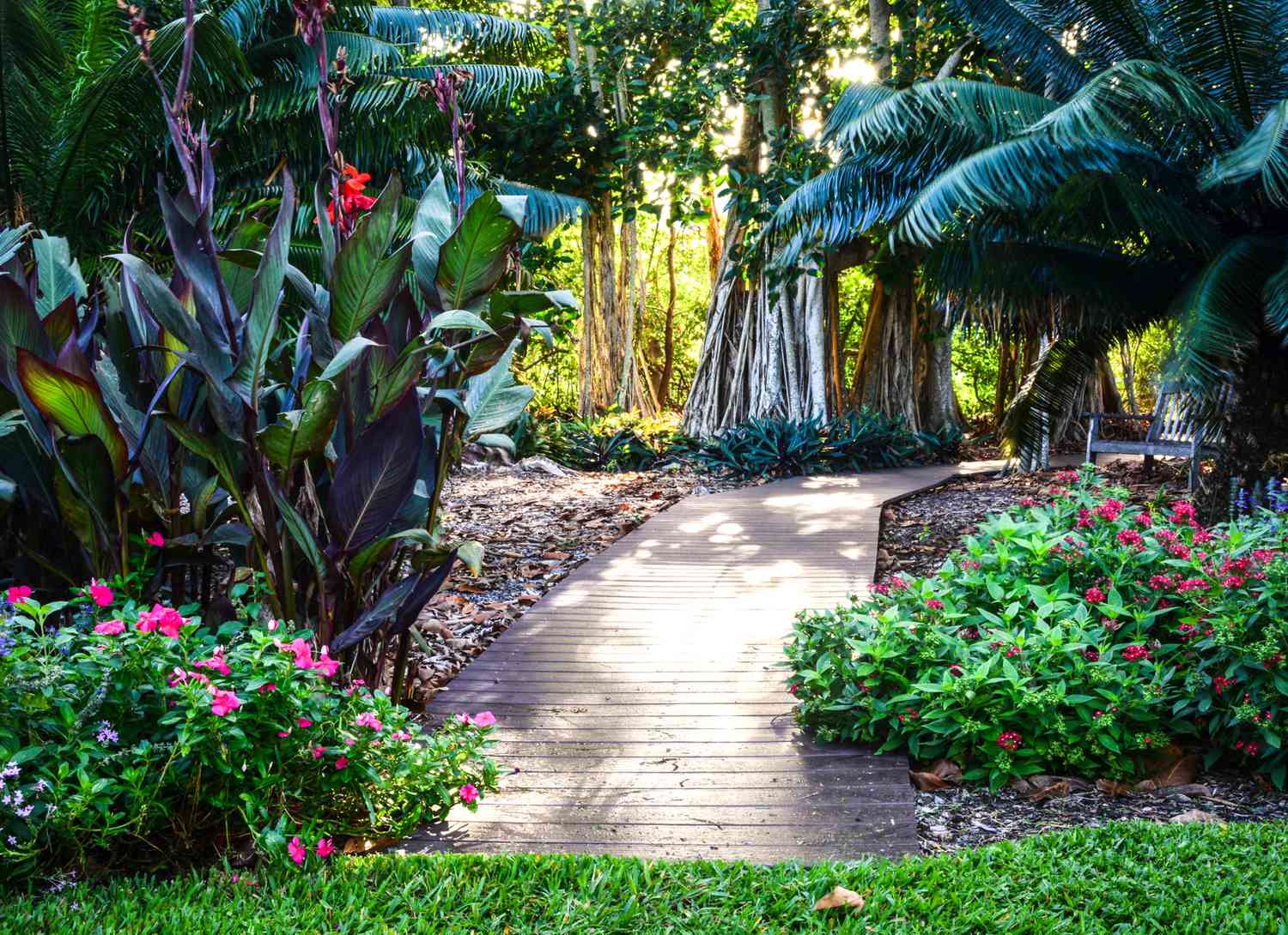 pathway in a tropical botanical garden